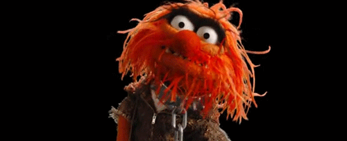 ANIMAL (The Muppets)