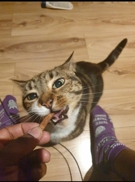 0