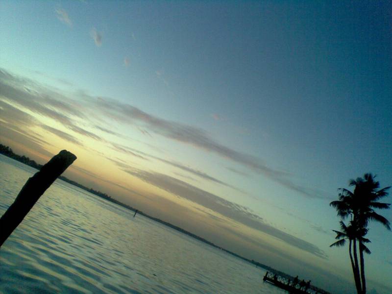 Still by 