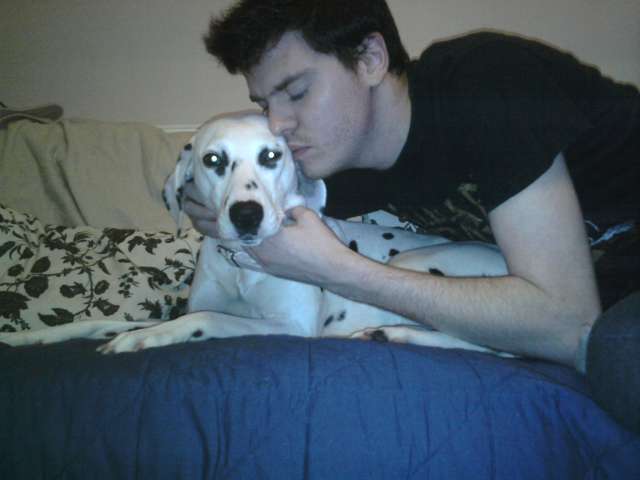 dixie