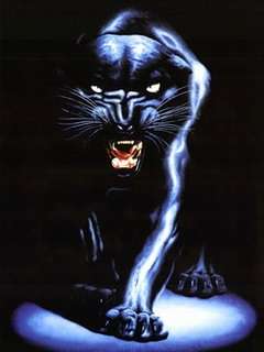 Panther