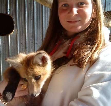 foxy haha
