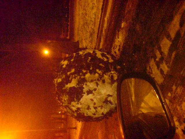 NOW THATS A SNOWBALL