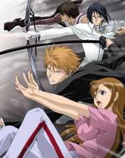 Bleach