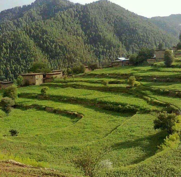 Tirah Valley.