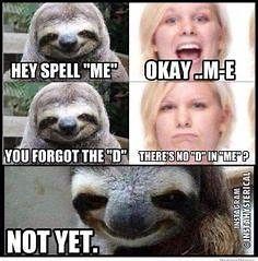Meme