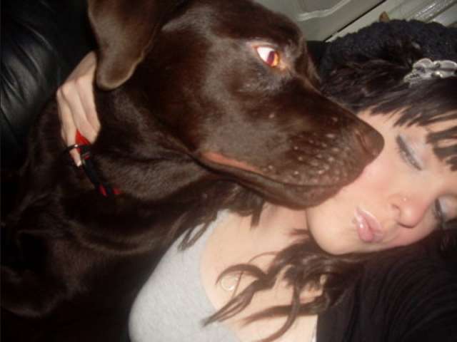 my choc l