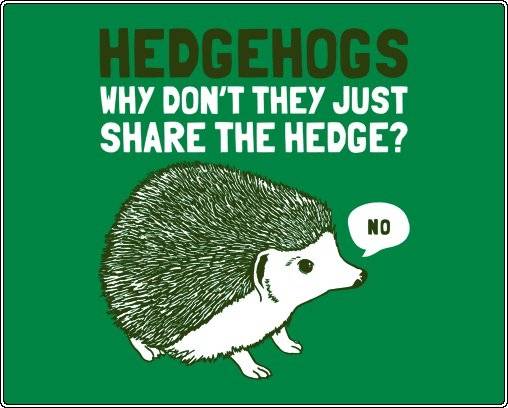 Hedgehog