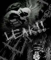 Leak - 17