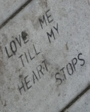 love me till my heart stops