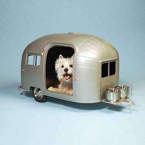 Caravan~dog