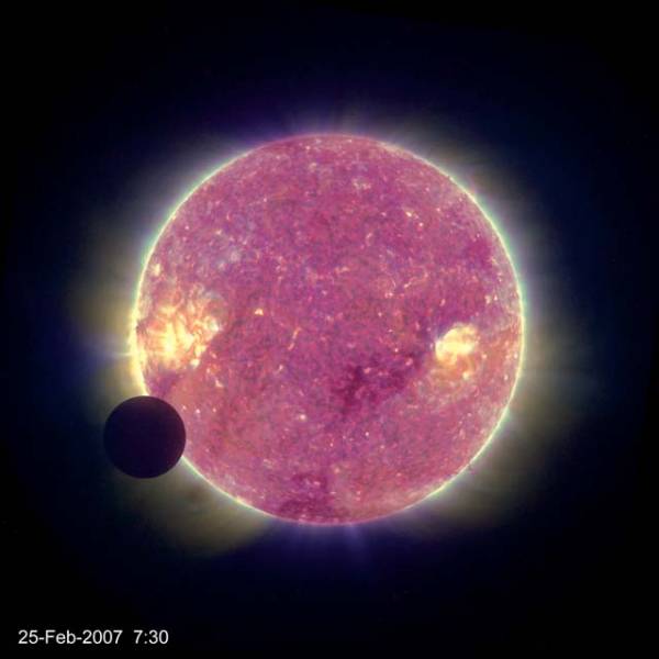 Sun black