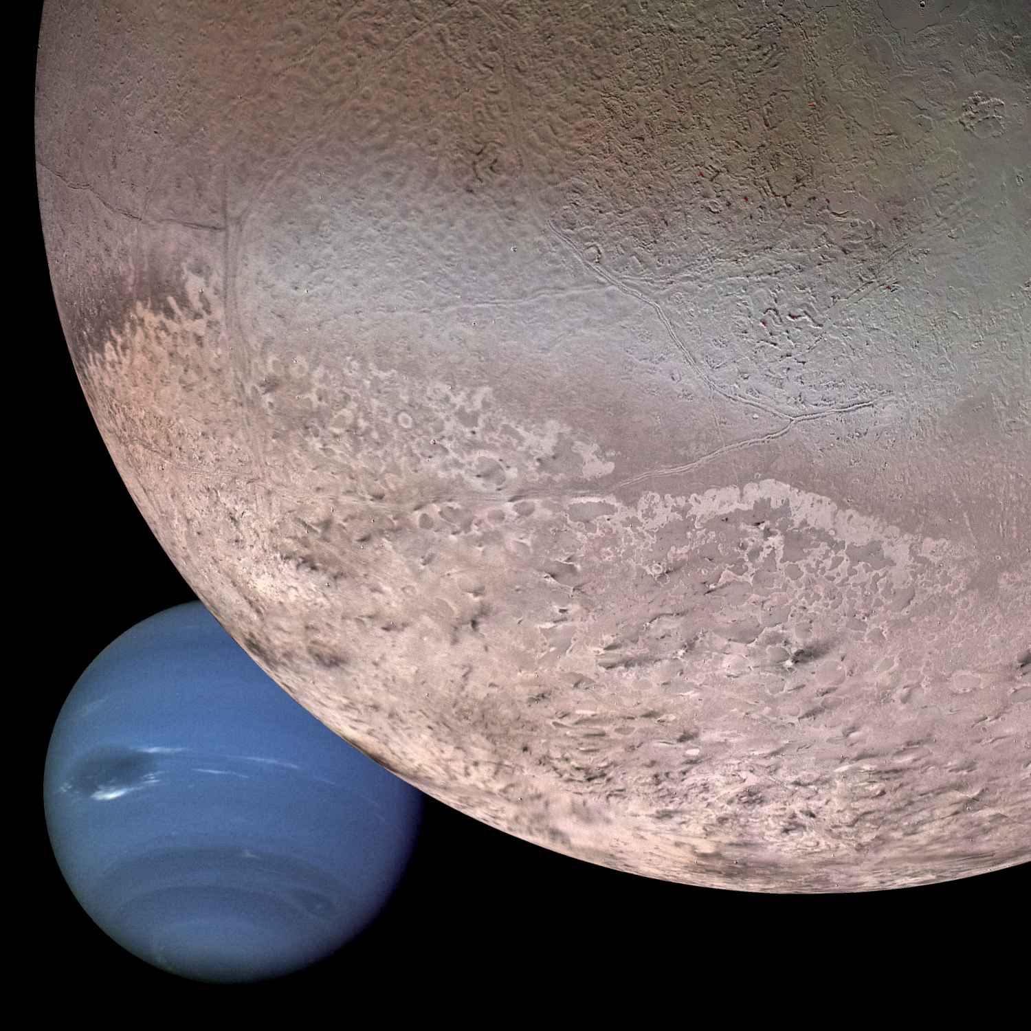Neptune m