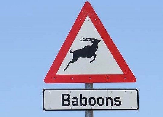 Bab