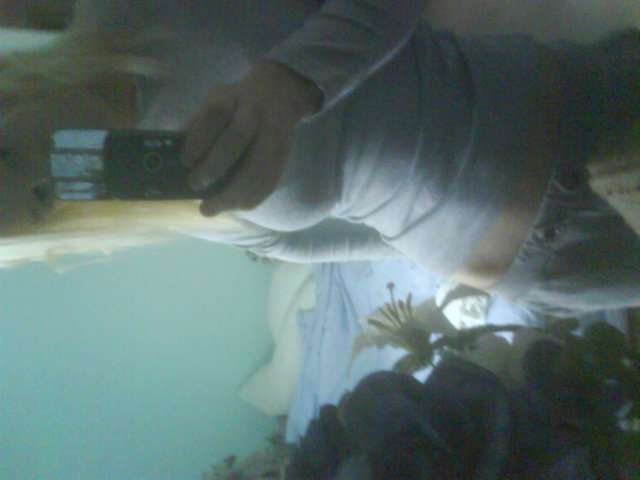 Same pic 