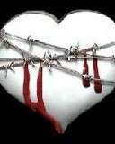 Heart in 