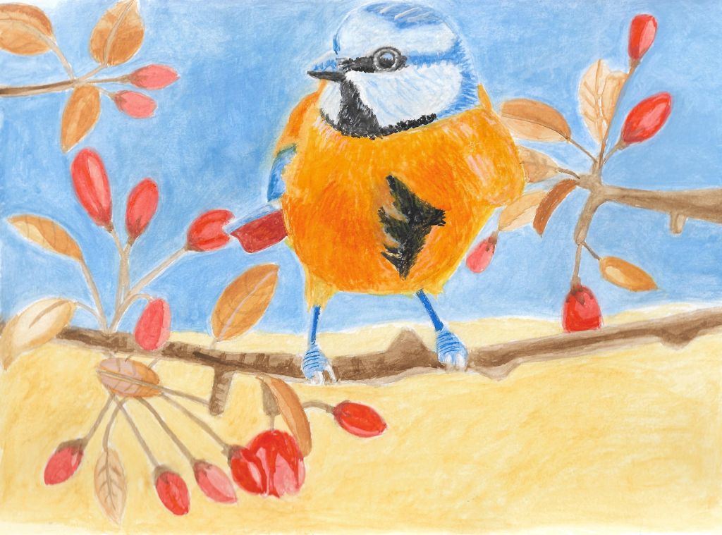 A bird