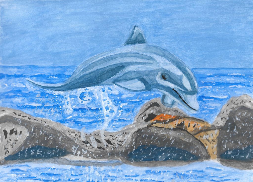 A dolphin