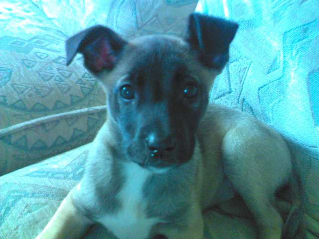 10 weeks