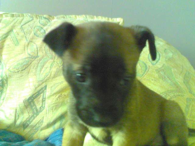 7weeks