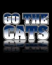 Go cats