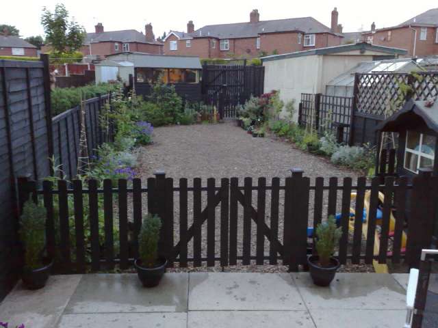my garden