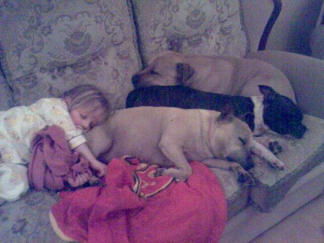 my staffs an baba