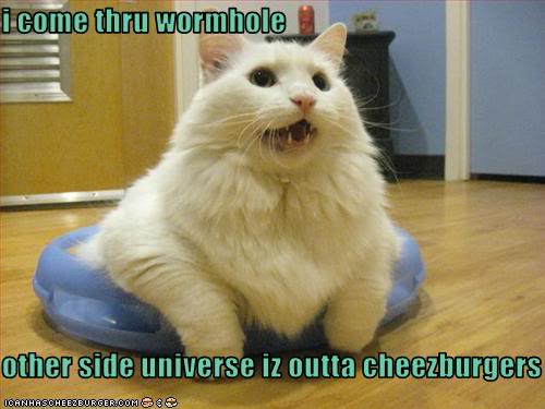 UFO Cat