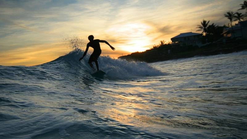 in sunset