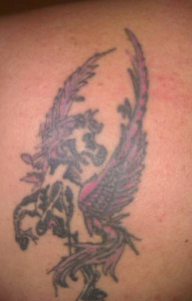 Pegasus tat