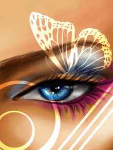 The eye