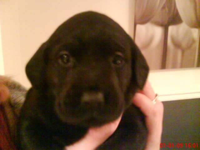 Ruby