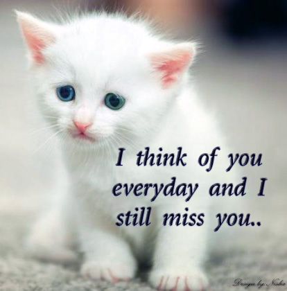 i miss u