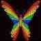 rainbow b