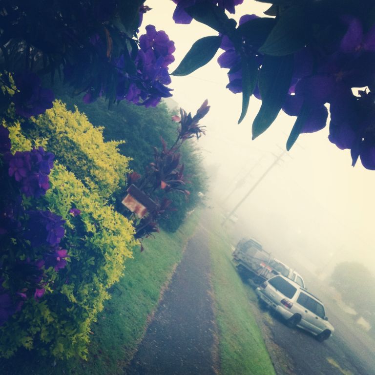 the view before 7am. Nice cool 4km jog.