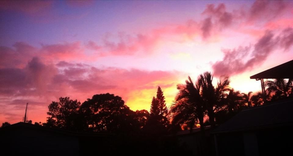 view from