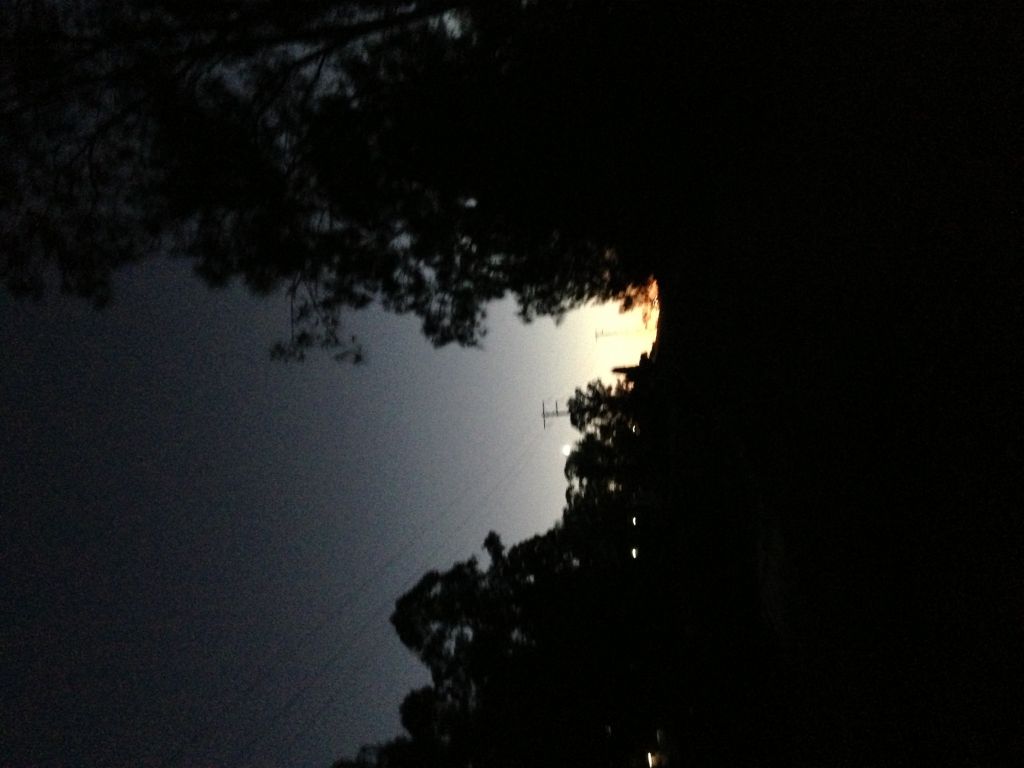 6am jog s
