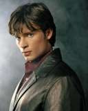 Tom welling