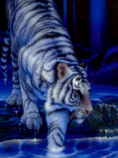 Blue tiger