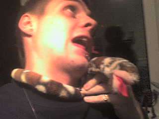 Snake att