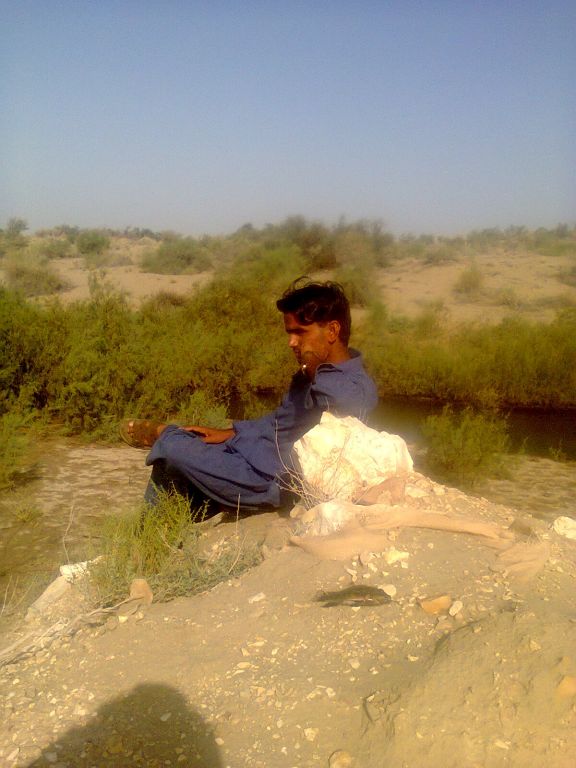 SIRAJ GADANI