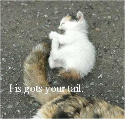 I is