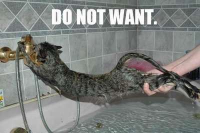 DO NOT WA