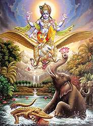 Lord Vish
