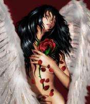 Tears of 