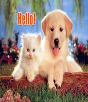 Hello