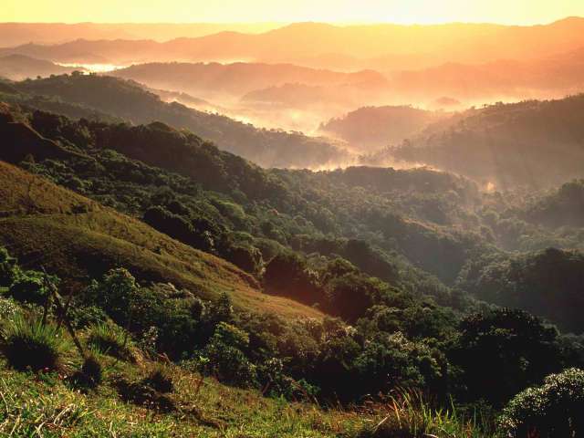 El yunque rainforest