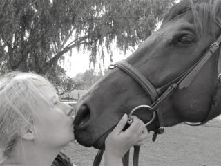 my horse P and i