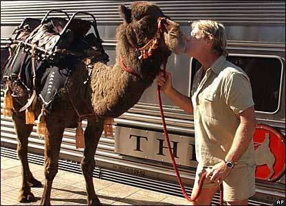 Steve with camel