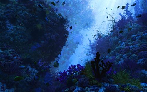 3d-underwater-render